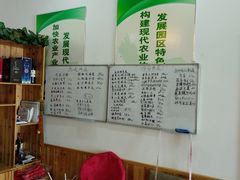 -呼吸森林·生态农庄农家乐私房菜