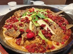-老板恋上鱼(高新万达店)
