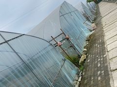 -普迪生态园