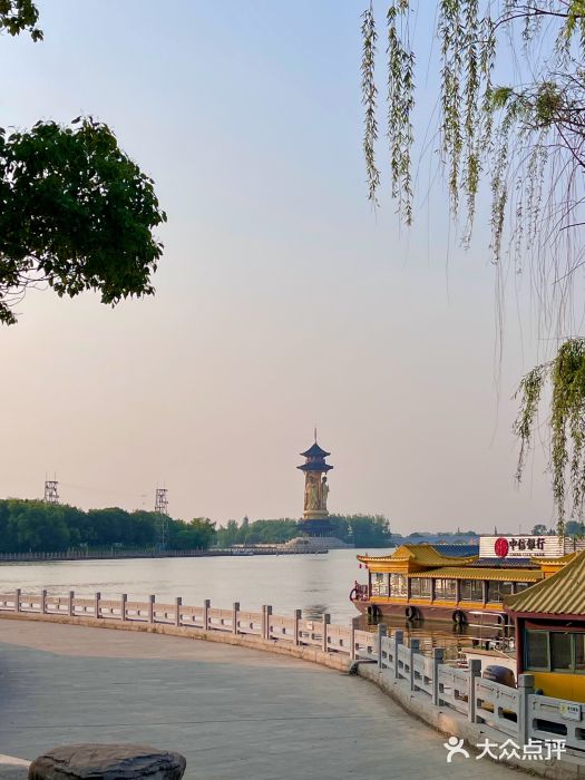 溱湖国家湿地公园图片