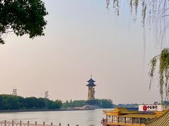 -溱湖国家湿地公园