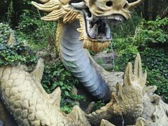 -浙西大龙湾