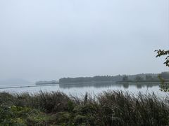 -东湖落雁景区