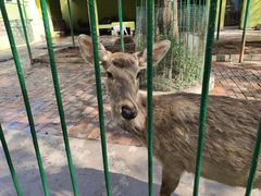 -荆州中山公园动物园