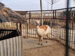 -河北村民俗体验园