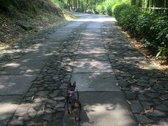 -黄公望隐居地