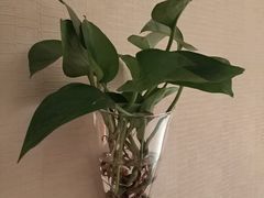 -蓬客精品酒店(南山海岸城购物中心店)