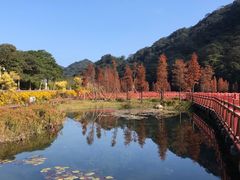 -广州市石门国家森林公园