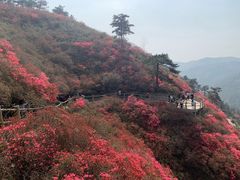 -木兰云雾山
