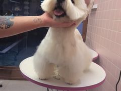 -FAELING PETS美天灵宠物(富力广场店)