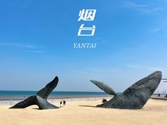 -烟台金沙滩海滨公园