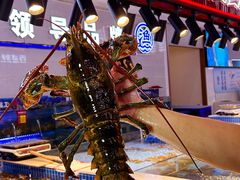 -驻海渔市(置信店)