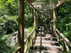 -大岭沟猕猴桃谷风景区