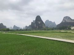 -明仕田园