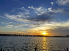 -宝安西湾红树林湿地公园