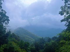 -江西阳明山国家森林公园