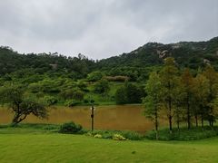 -厦门国家会计学院