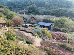 -广东天露山旅游度假区
