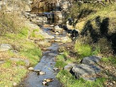 -国家植物园南园