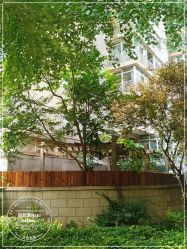 点击看大图 -自然美Natural Beauty