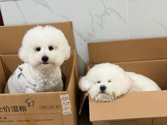 -科道动物医院·急重症中心(万达院)