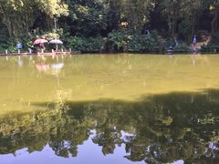 -人民公园(罗湖区)