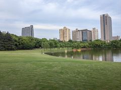 -黄兴公园