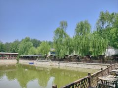 -尚庄度假村·庭台树下·户外烧烤·团建CS·轰趴营地(上庄水库店)