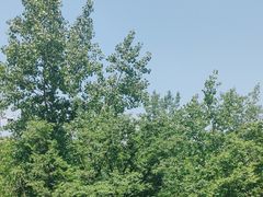-宝荣鱼馆·临湖之宴(千岛湖店)