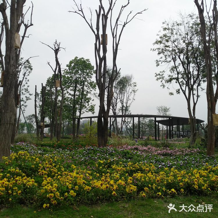 沿着三环的熊猫绿道骑行而来，并不远在华侨城对面