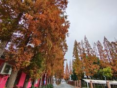 -云间粮仓