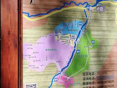 -汤旺河林海奇石景区