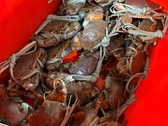 -老财炒饭·熟地蟹·冬瓜蟹