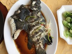 -海岛渔村大酒店(云霄路店)