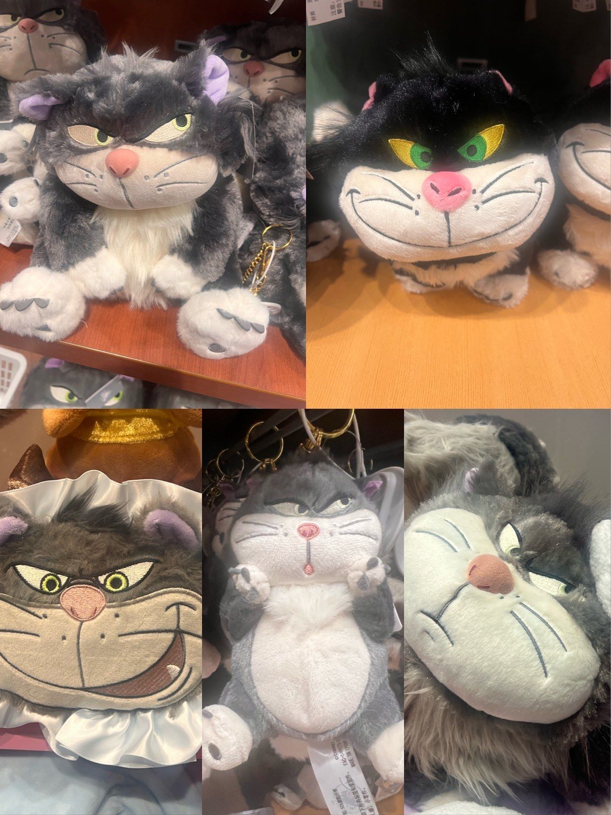 拥有迪士尼的这只胖猫!表情太好玩了