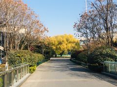 -千叶创意融合料理(水韵城店)