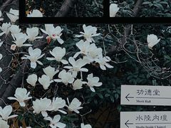 -龙华寺