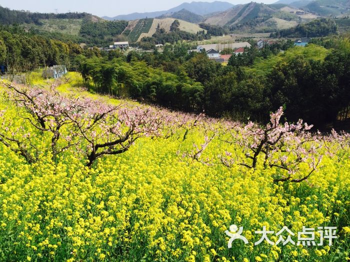 城山沟桃源山庄图片 - 第8张