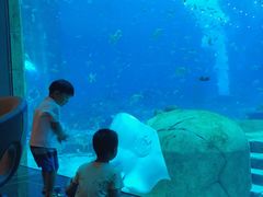 -亚特兰蒂斯•OSSIANO奥西亚诺海底餐厅