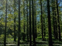 -国家植物园南园