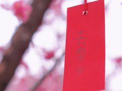 -望江楼公园