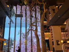 -桂满陇·海市蜃楼·黑金(国金店)