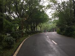 -灵秀温泉