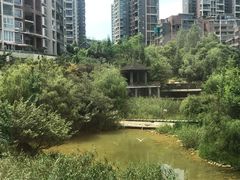 -黔蘑菇四季餐厅(观山湖店)