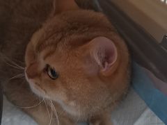 -联合动物医院(光谷诊疗中心)