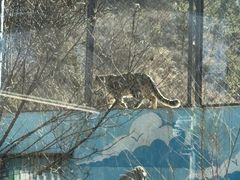 -青藏高原野生动物园