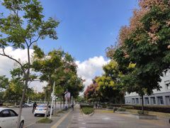 -东南大学(九龙湖校区)