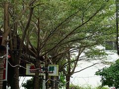 -三亚火车头万人海鲜广场