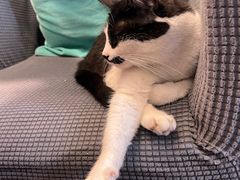 -路易时光(蕴川路店)