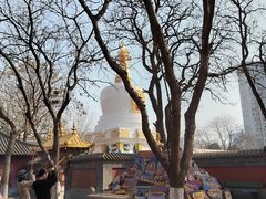 -护国法轮寺